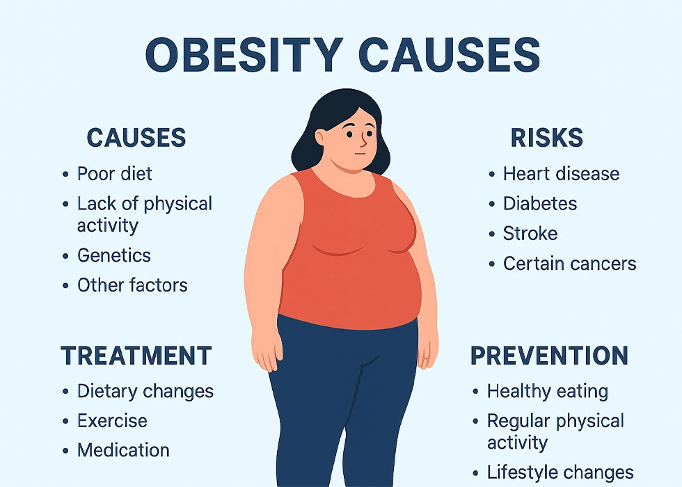 Obesity: Causes, Risks, Treatment & Prevention for a Healthier Life